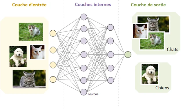 Diagram of a neural network: an input layer receives photos of cats and dogs, the signals travel through several internal layers of interconnected neurons, and the output layer sorts the images into two categories, cats and dogs