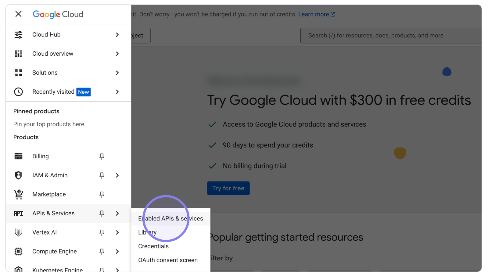 Google Cloud Console Enabled APIs & services section